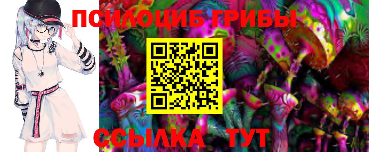 Галлюциногенные грибы Psilocybe Михайловка